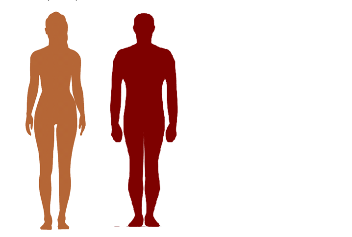 Male and female visual height comparison