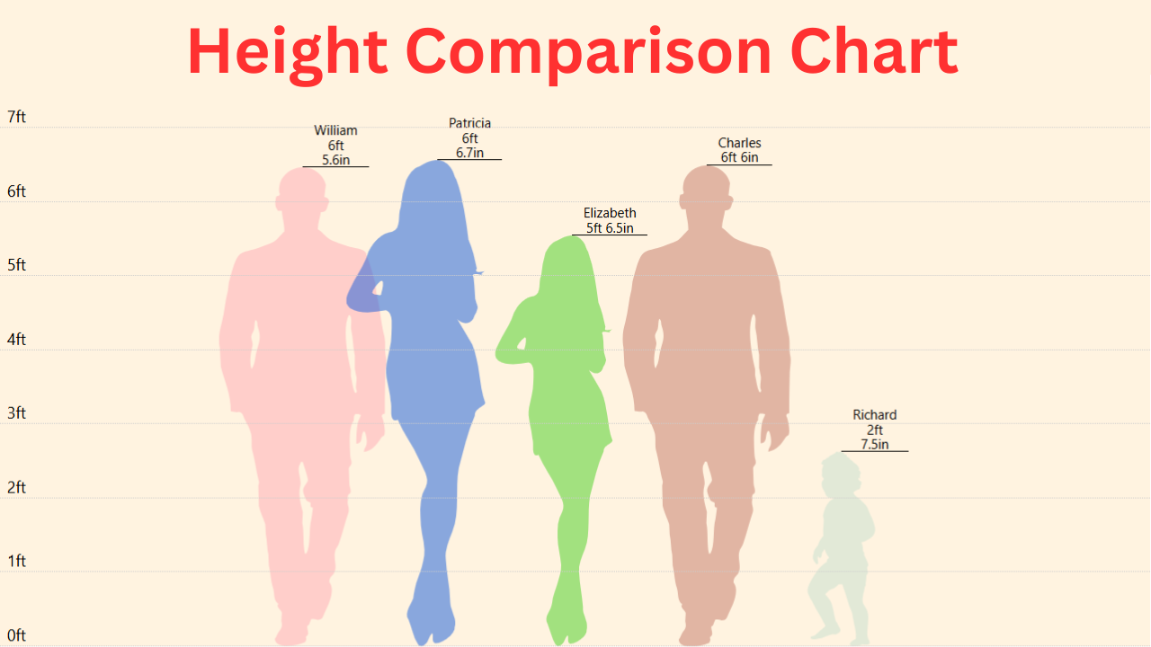 Height Comparison Chart - Heights Comparison